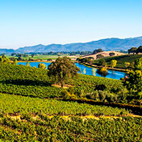 Napa Valley