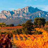 Rioja
