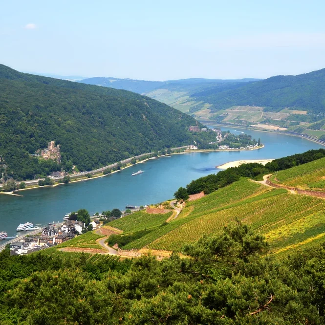 amazing_view_over_the_river_rhine_from_the_top_of_the_hill_in_rudesheim_rheingau_wine_region_germany.jpg